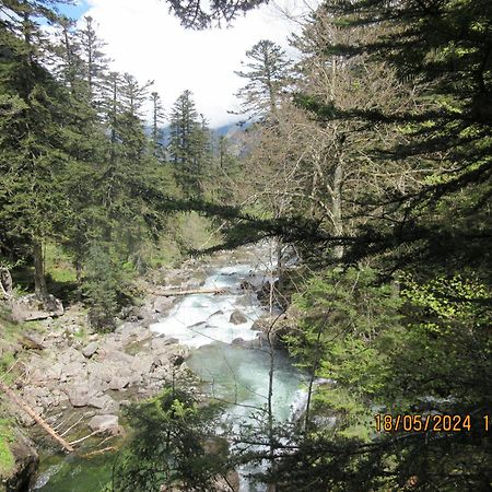 Studio Cerisema Pyrenees Zenith لوز سانت سوفير المظهر الخارجي الصورة